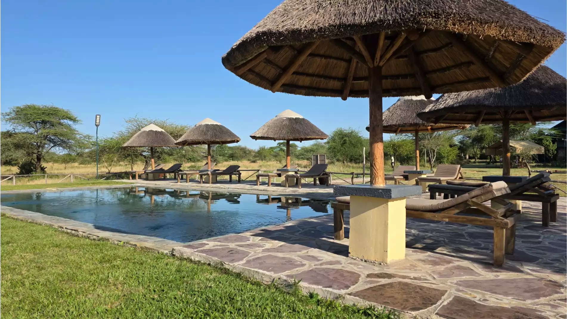 Beach Safari - Accommodation Detail - Africa Safari Serengeti Ikoma - Image Gallery 06.WEB.P