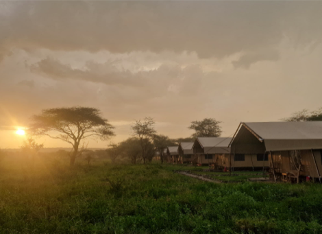 Africa Safari Serengeti Kusini - Safari Family Accommodation - 1