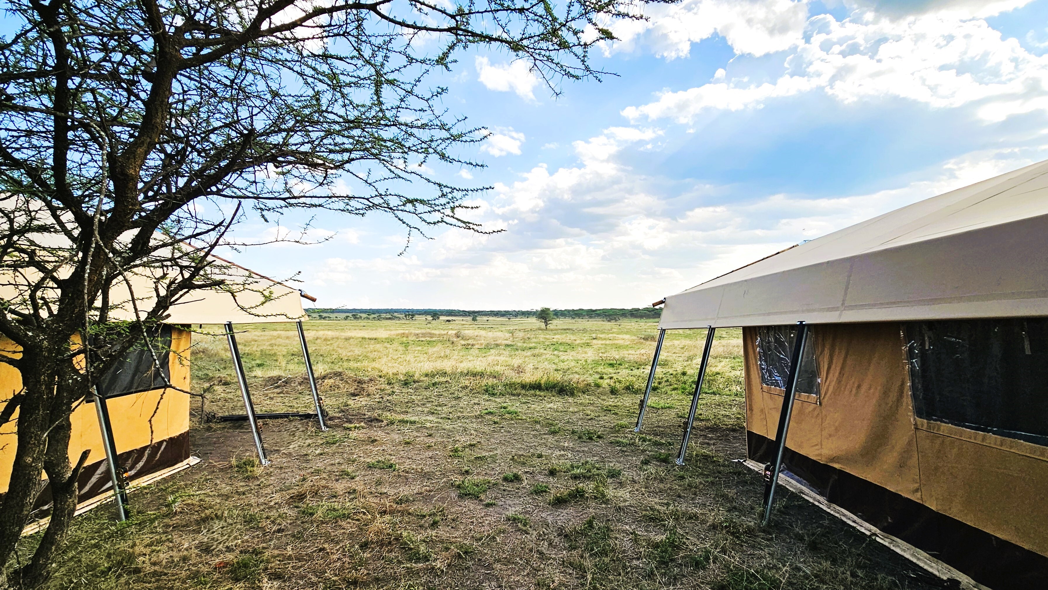 Africa Safari Serengeti Kusini Safari Luxury Glamping2.jpg