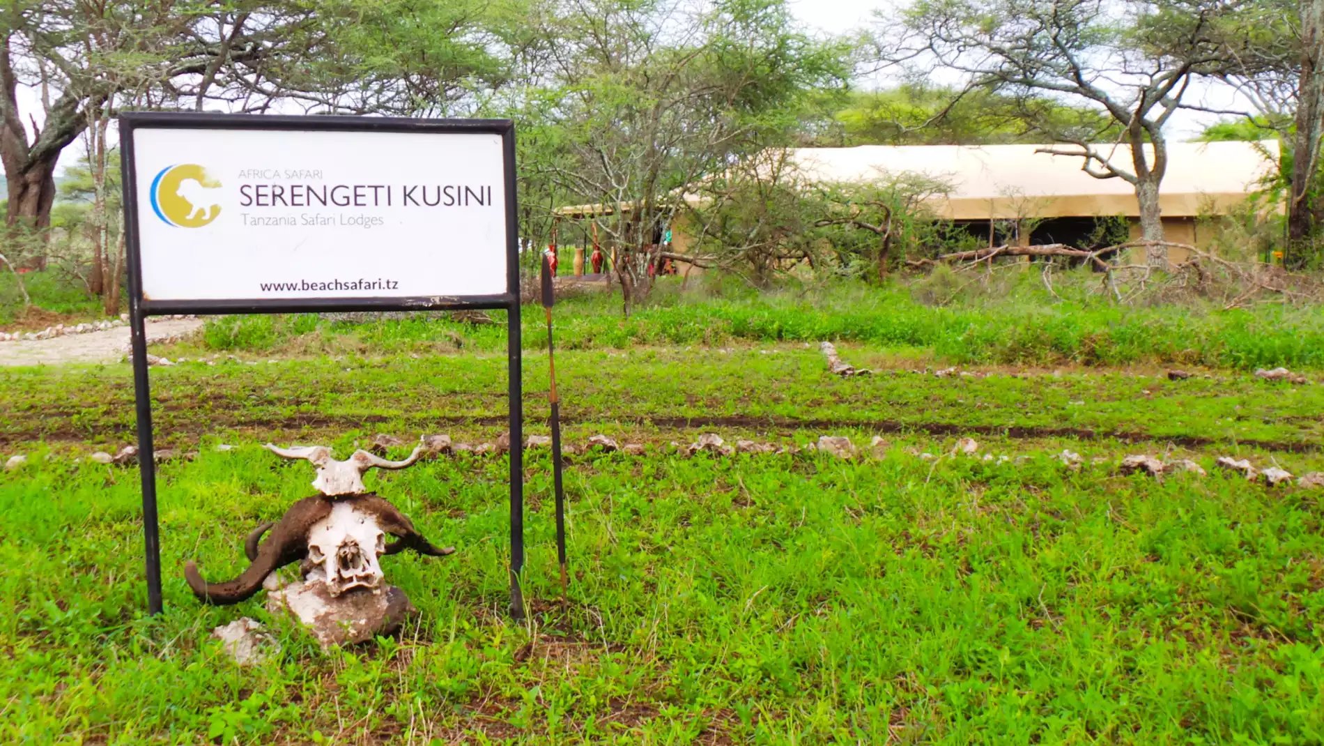 Beach Safari - Accommodation Detail - Africa Safari Serengeti Kusini - Image Gallery 01.WEB.P