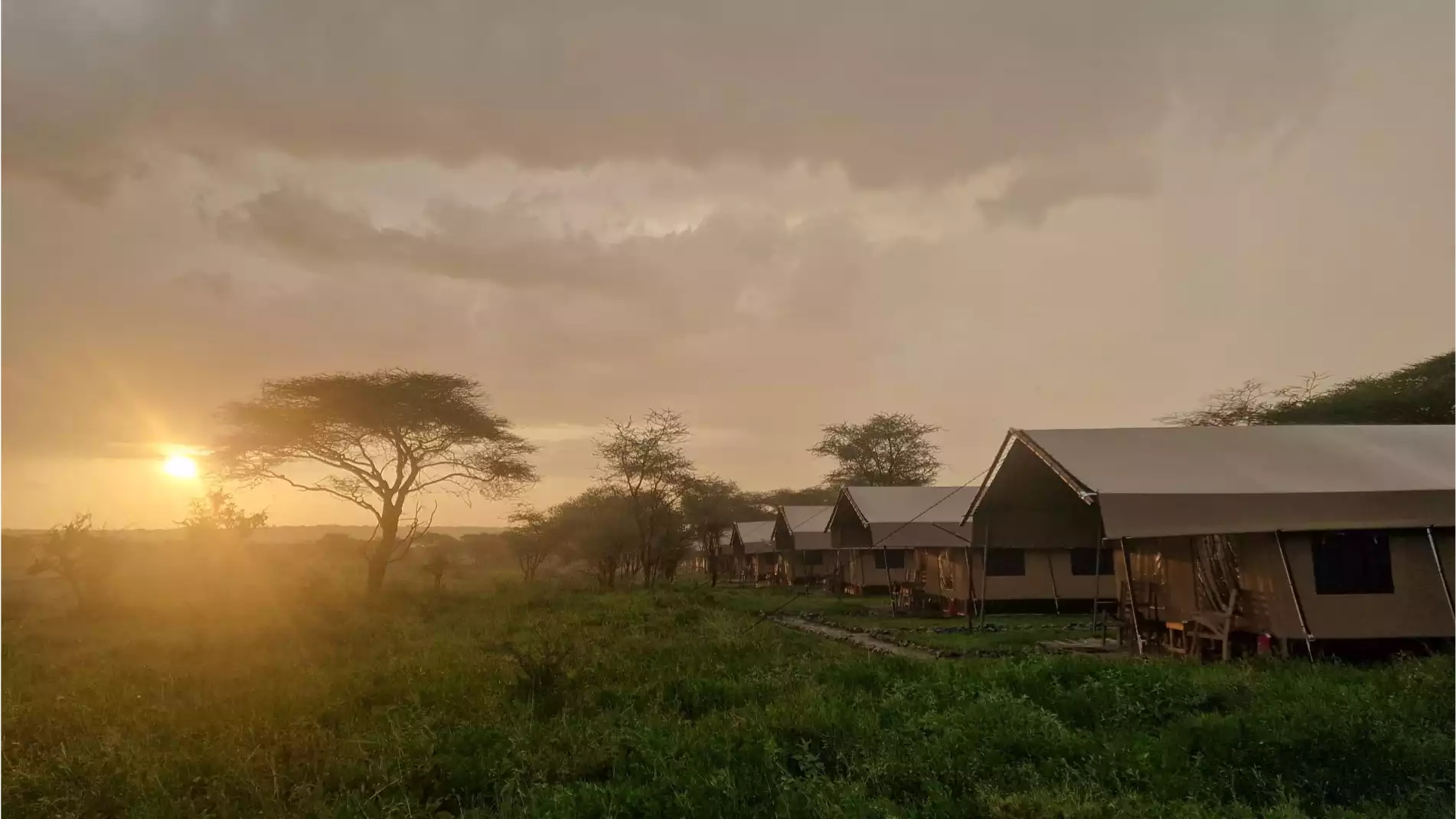 Beach Safari - Accommodation Detail - Africa Safari Serengeti Kusini - Image Gallery 03.WEB.P