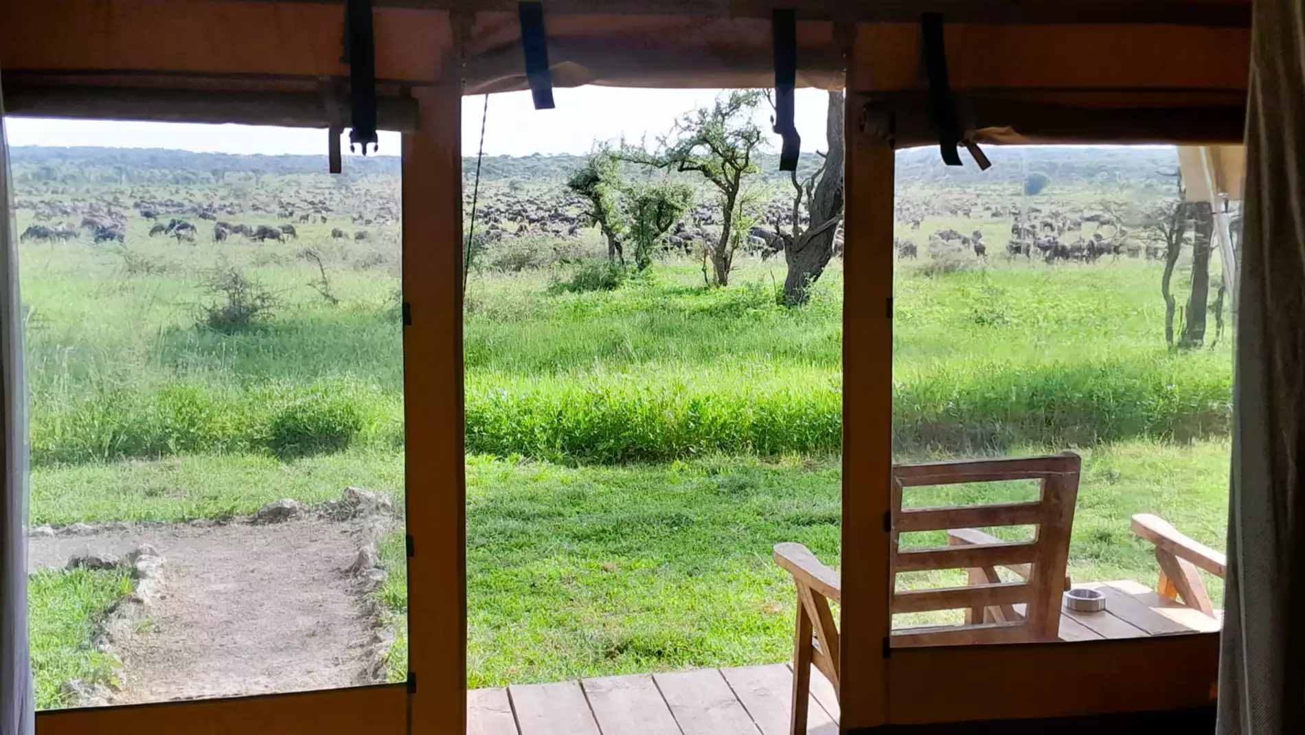 Beach Safari - Accommodation Detail - Africa Safari Serengeti Kusini - Image Gallery 10.WEB.P