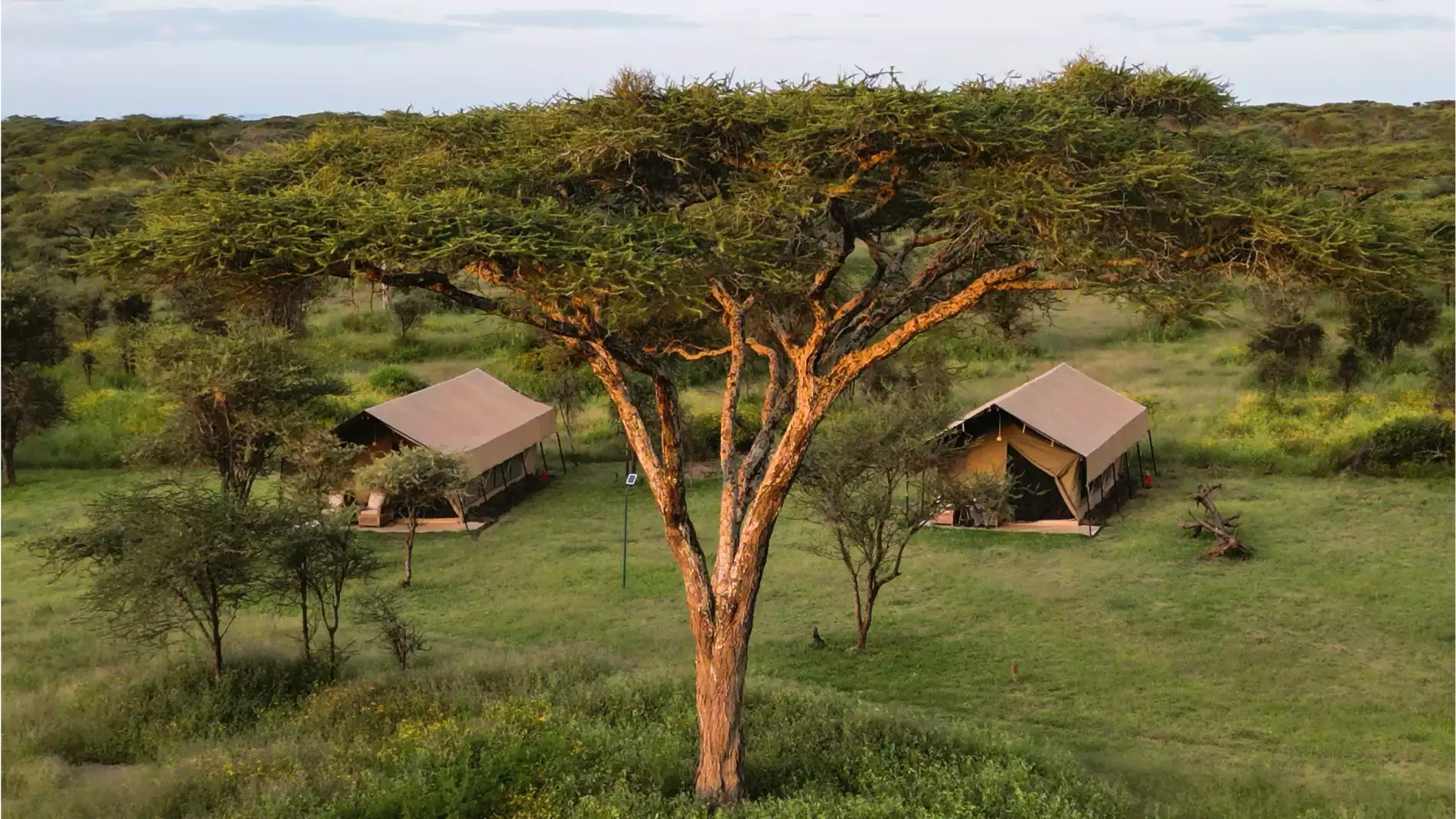 Beach Safari - Accommodation Detail - Africa Safari South Serengeti - Image Gallery 03.WEB.P