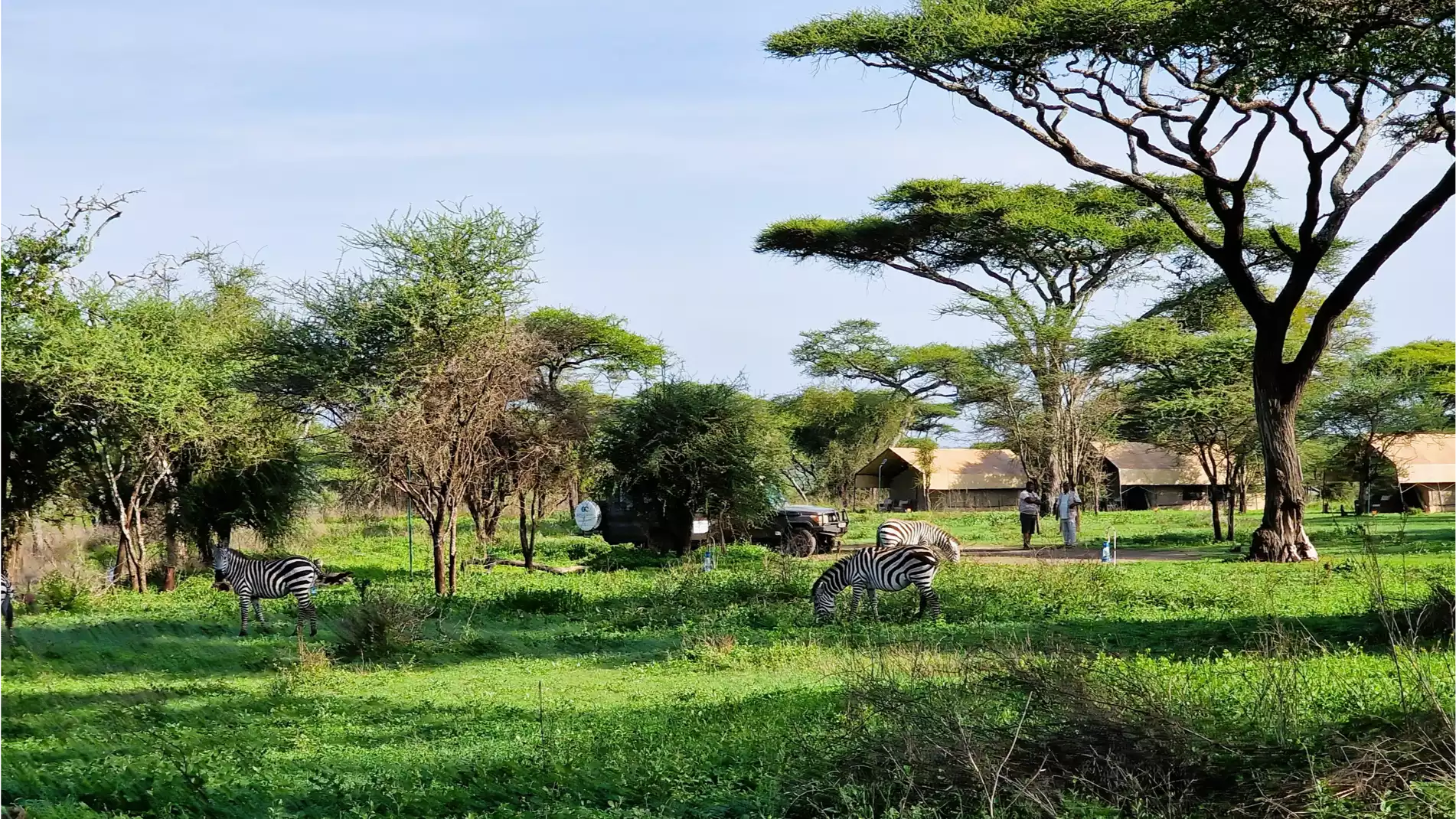 Beach Safari - Accommodation Detail - Africa Safari South Serengeti - Image Gallery 06.WEB.P