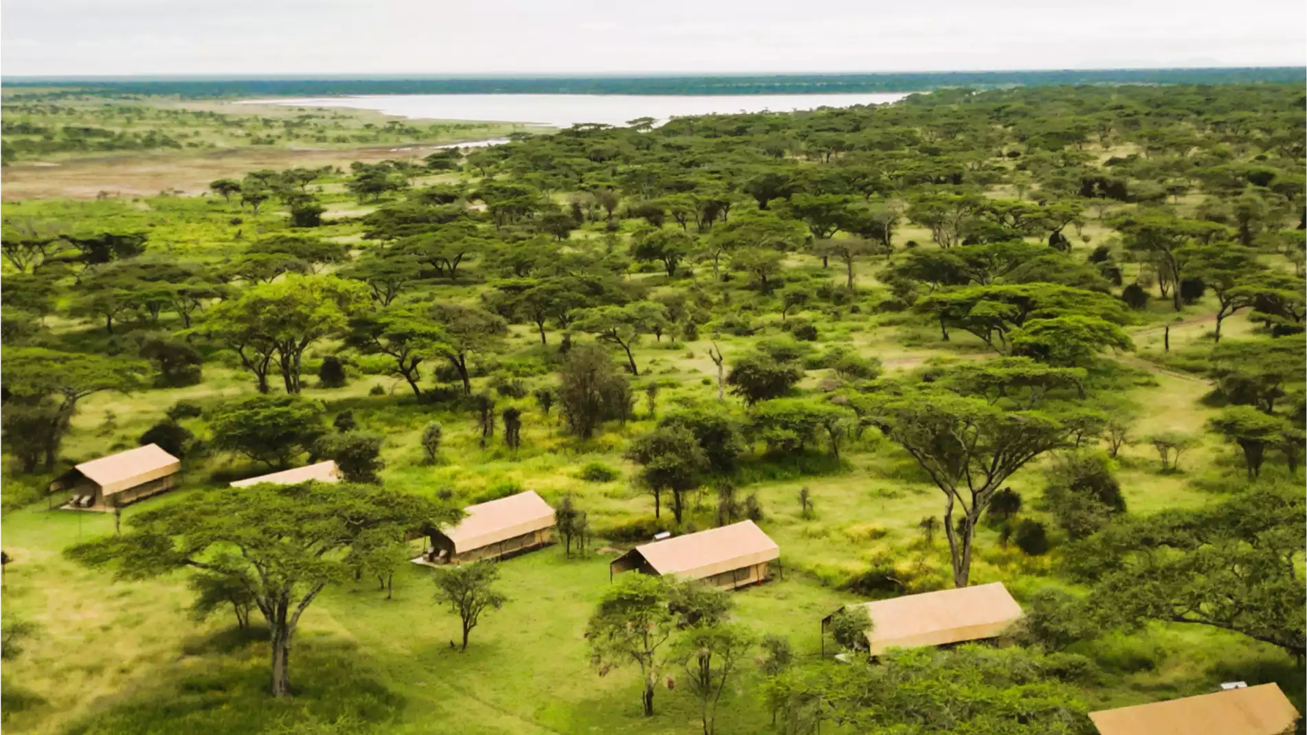 Beach Safari - Accommodation Detail - Africa Safari South Serengeti - Image Gallery 15.WEB.P