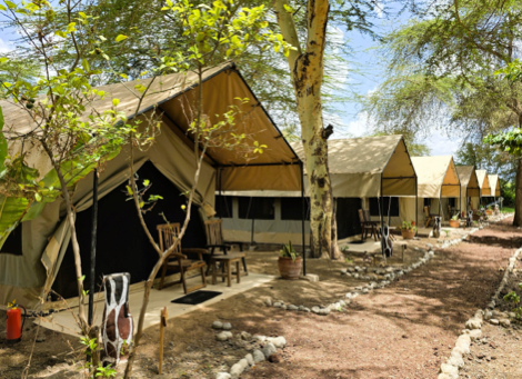 Beach Safari - Africa Safari Lake Manyara - Safari Comfort Accomodation - 1 - Tanzania.webp.webp