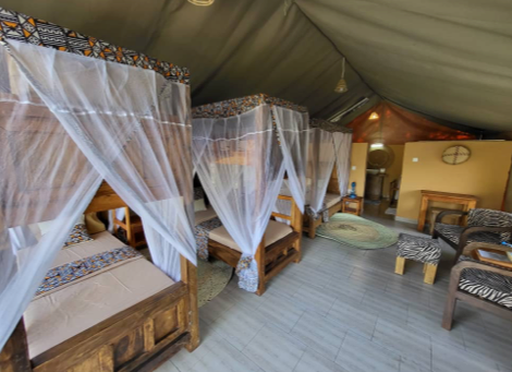 Beach Safari - Africa Safari Lake Manyara - Safari Comfort Family - 3 - Tanzania.webp