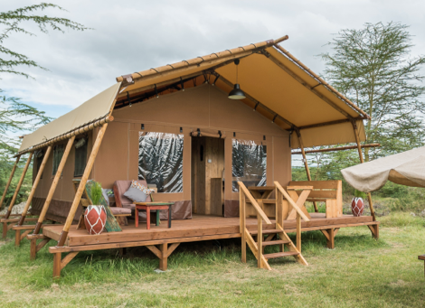 Beach Safari - Africa Safari Lake Manyara - Safari Luxury Glamping - 1 - Tanzania.webp
