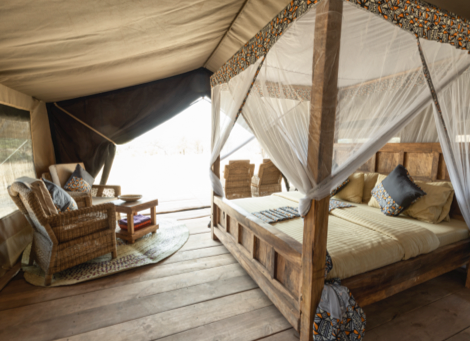 Beach Safari - Africa Safari Lake Manyara - Safari Luxury Glamping - 3 - Tanzania.webp