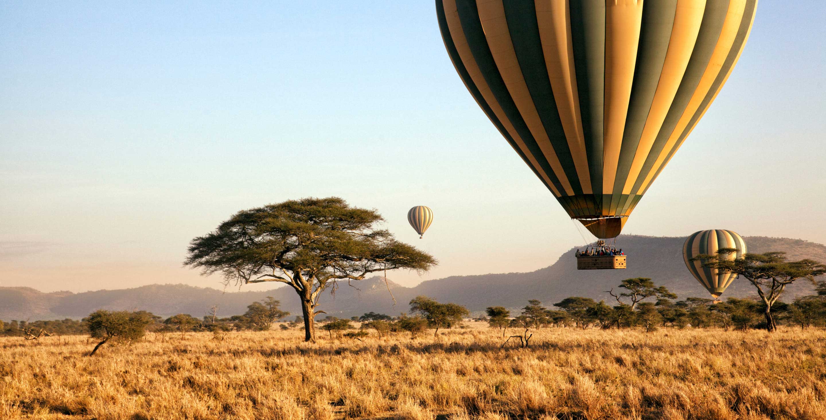 Safari balloon at sunrise