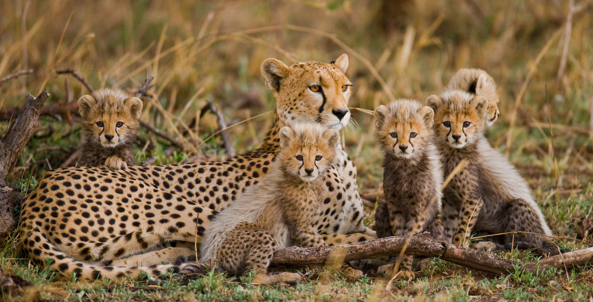 Eastern Great Rift Valley