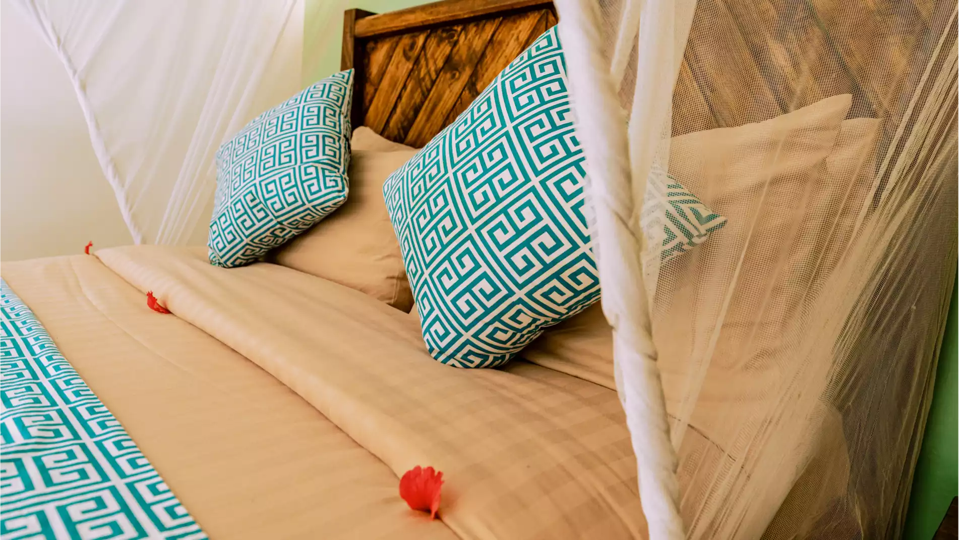Beach Safari - Accommodation Detail - Paradise Beach Resort - Image Gallery 14
